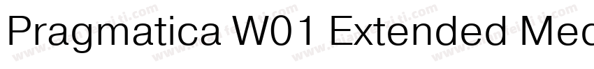 Pragmatica W01 Extended Med字体转换